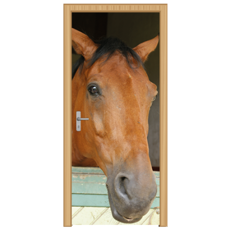 deursticker paard - DS1001