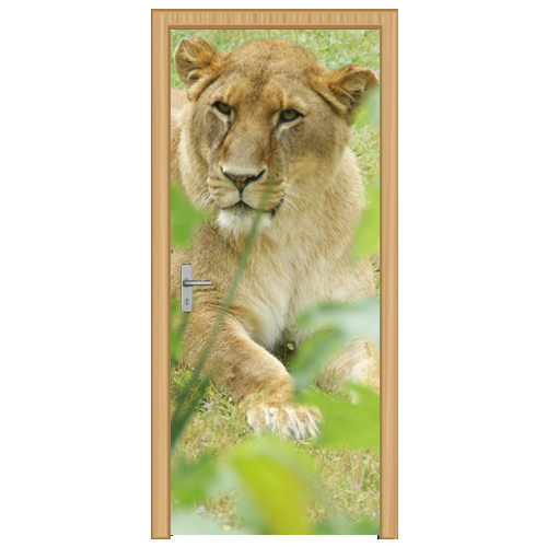 deursticker leeuw - DS1002