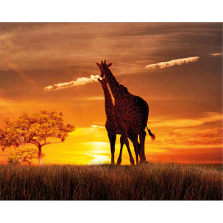 Repro Voorne - tuinposter giraf