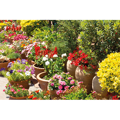 Repro Voorne - tuinposters bloembakken