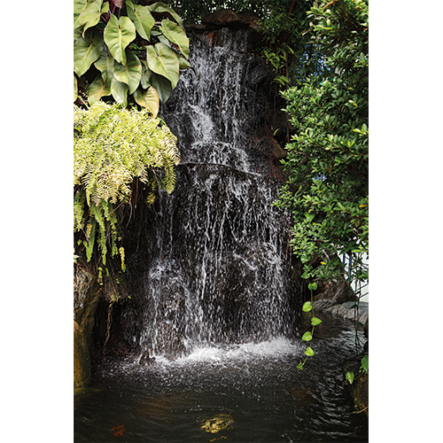 Repro Voorne - tuinposter waterval