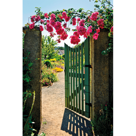 Repro Voorne tuinposter hek met rozen