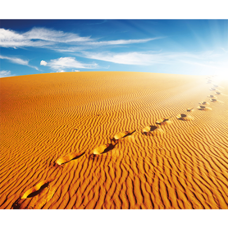 Repro Voorne voetsporen woestijn